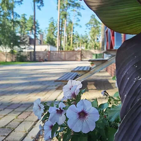 Villa Alla *